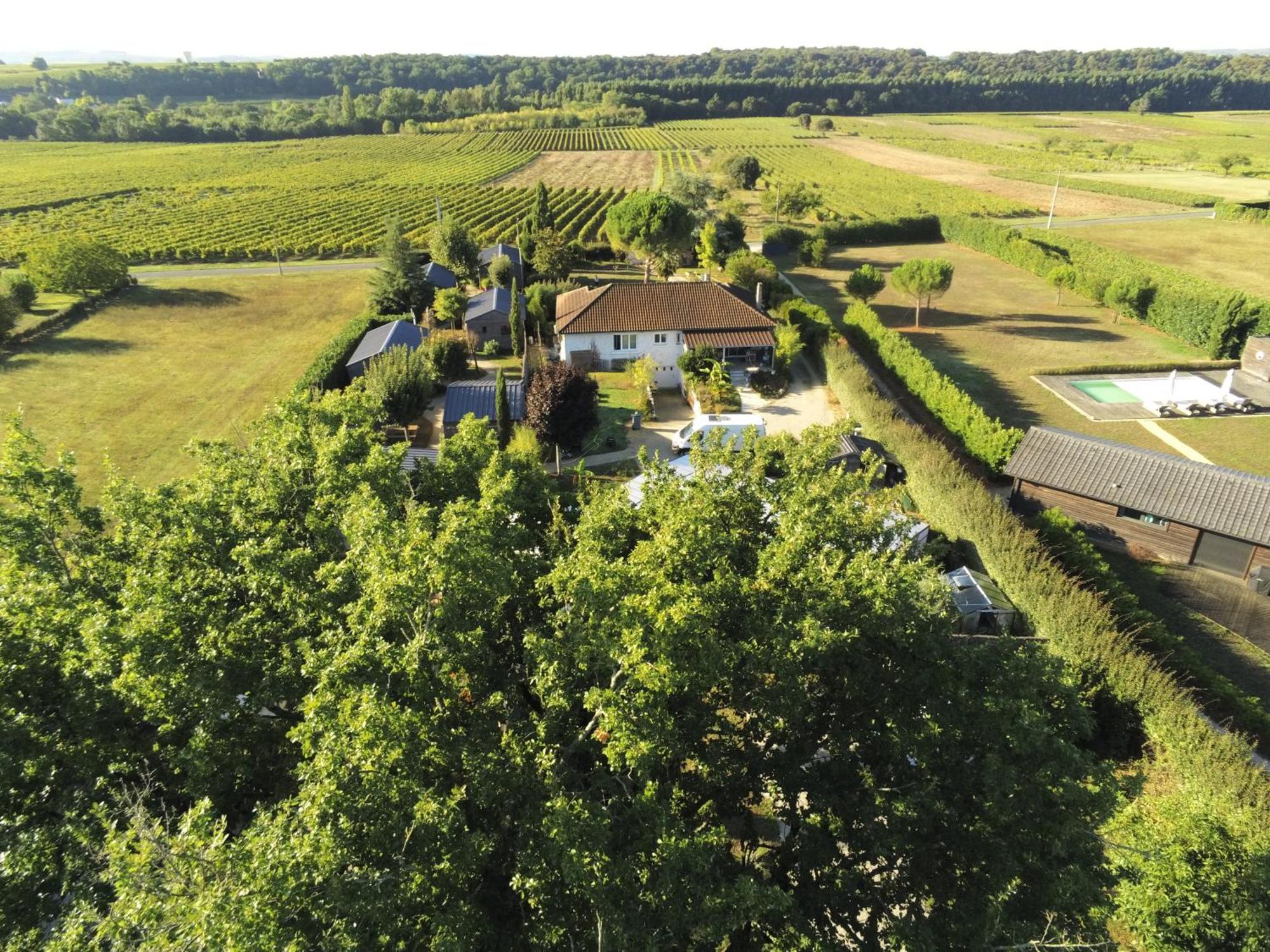 Les Pilotis Du Cognac Villa Bourg-Charente Dış mekan fotoğraf