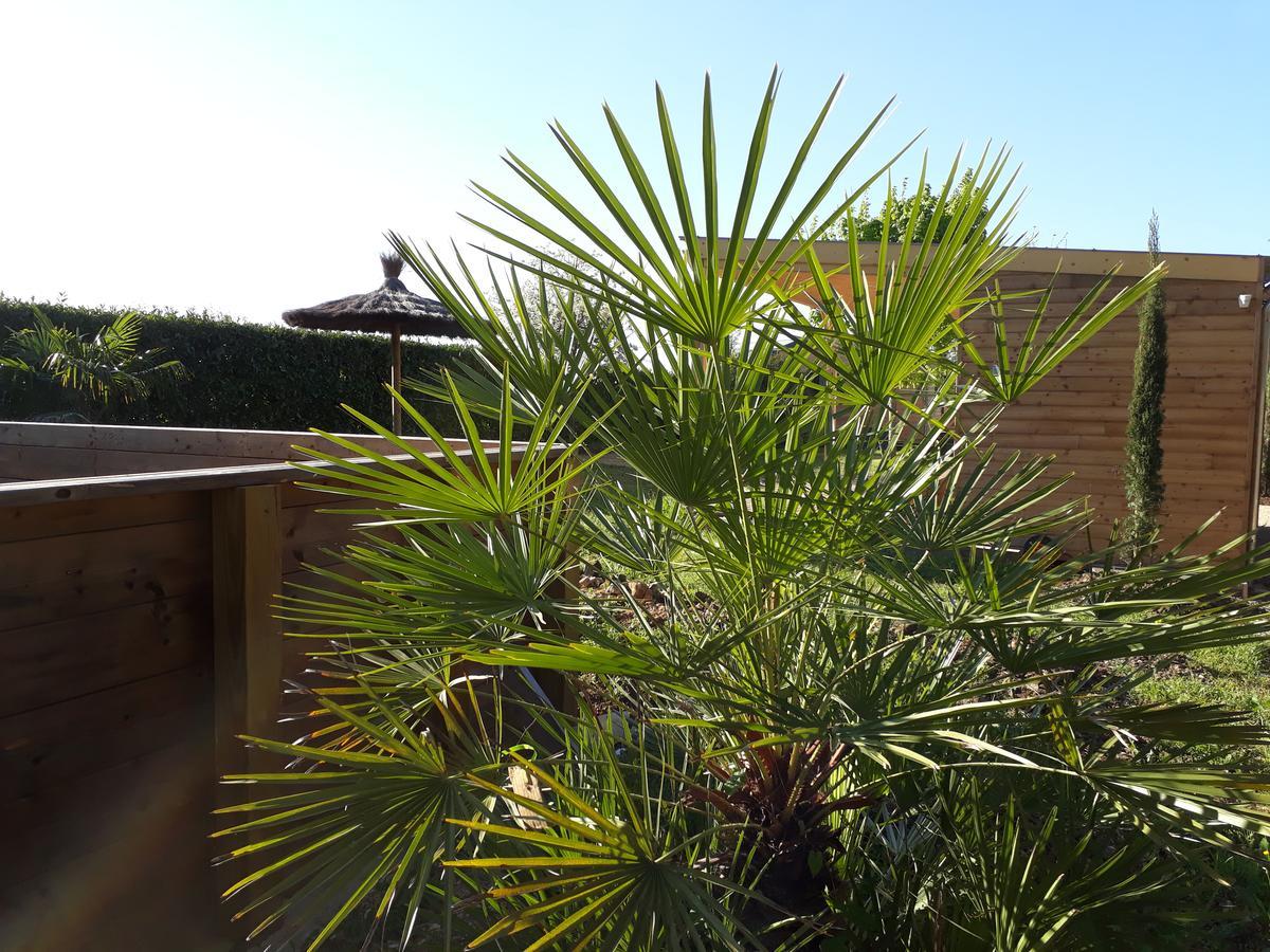 Les Pilotis Du Cognac Villa Bourg-Charente Dış mekan fotoğraf